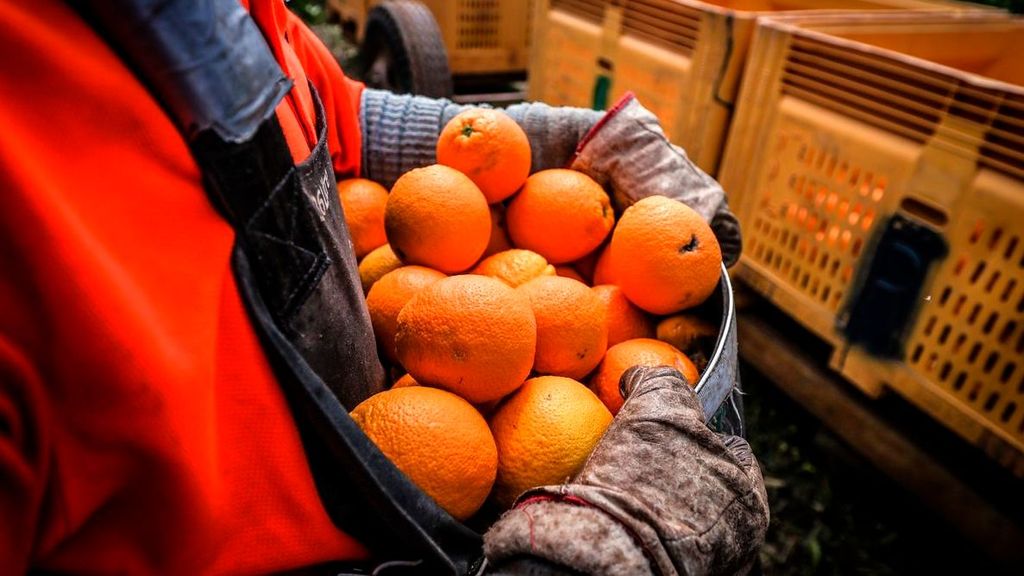 Naranjas