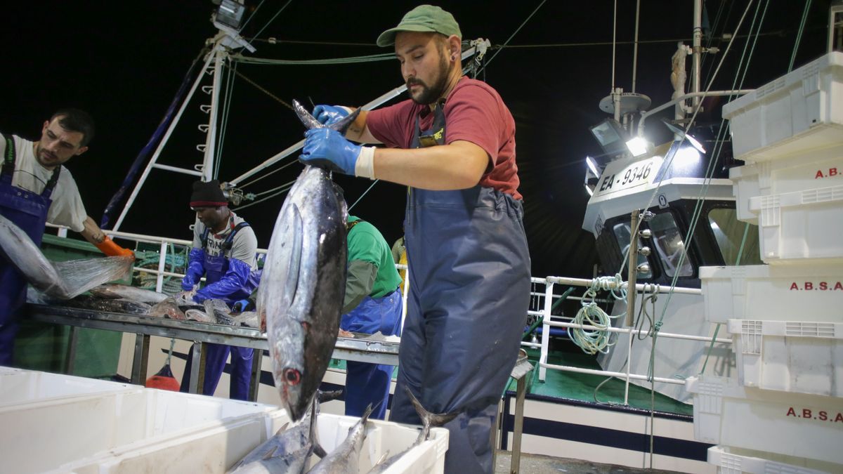 Un marinero descarga un ejemplar de atún de un barco