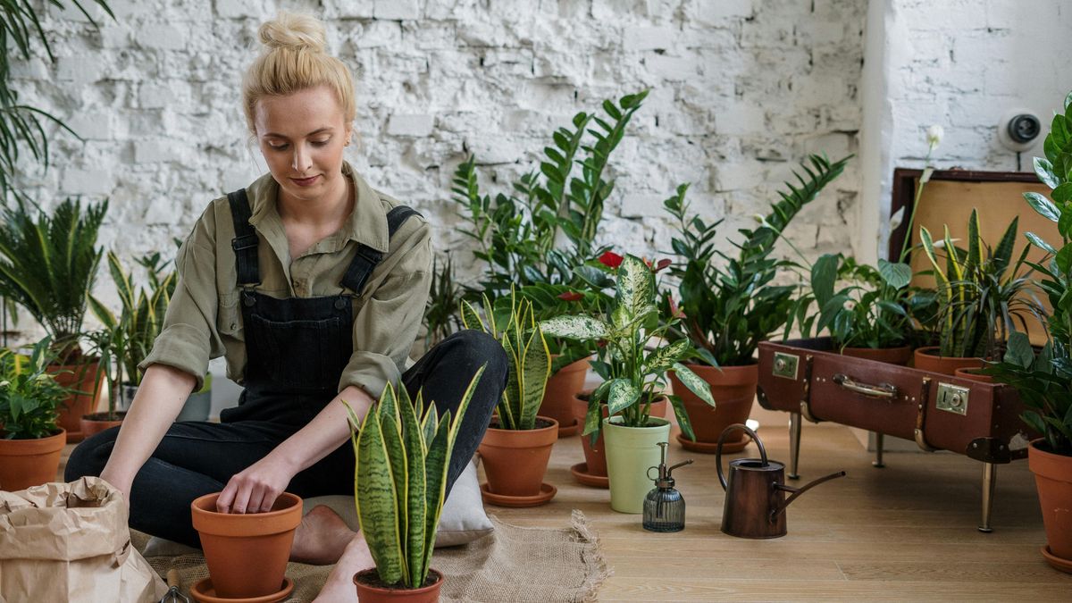 Una chica cuidando sus plantas