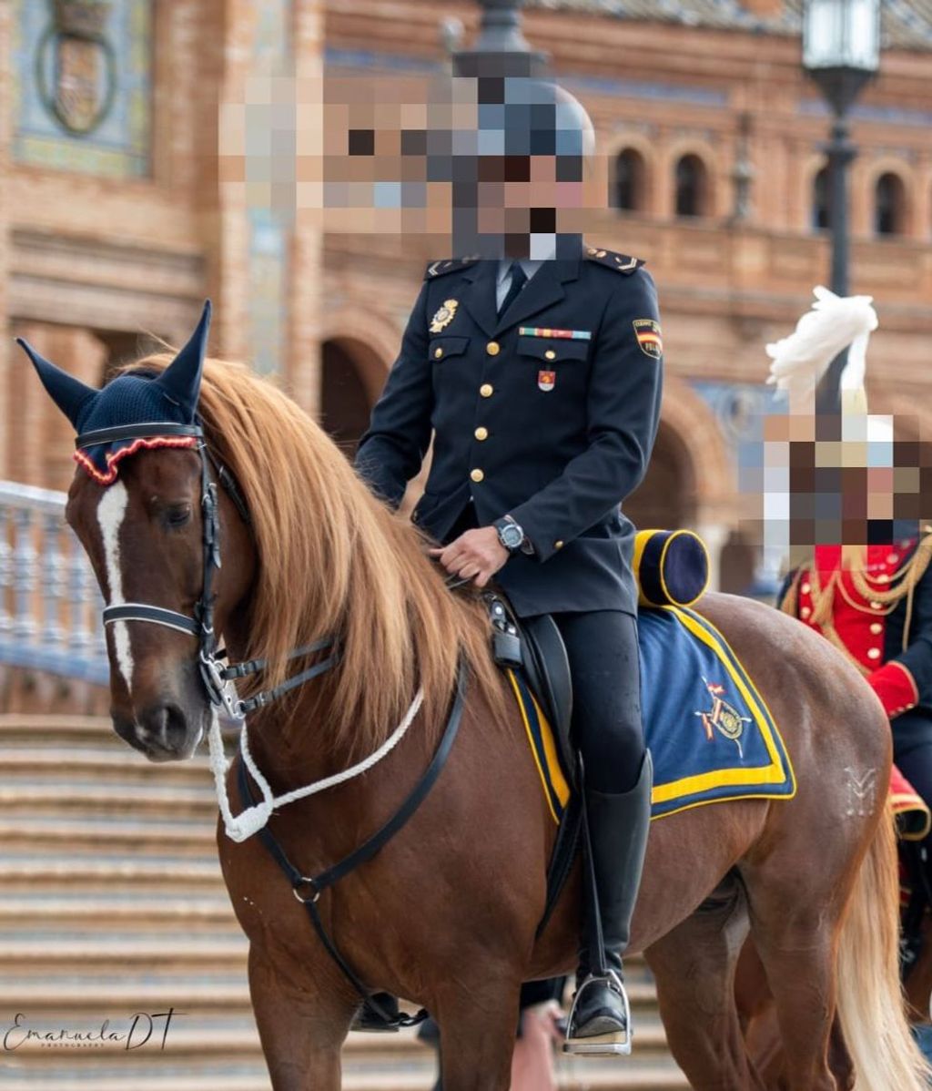 Pomo, el caballo de la Policía Nacional