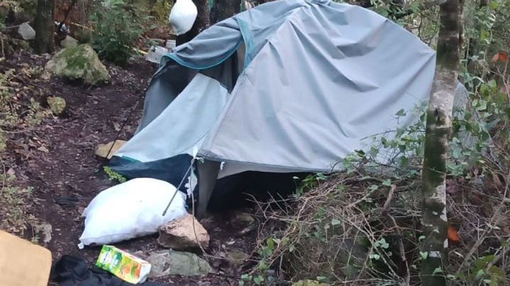 Desmantelan un bosque de marihuana en un espacio protegido de las montañas de Prades