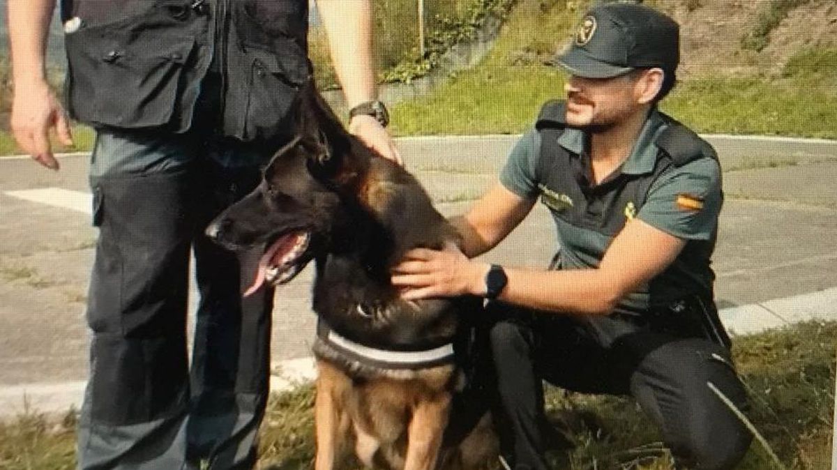 El agente euskaldun muestra a un perro de la unidad canina