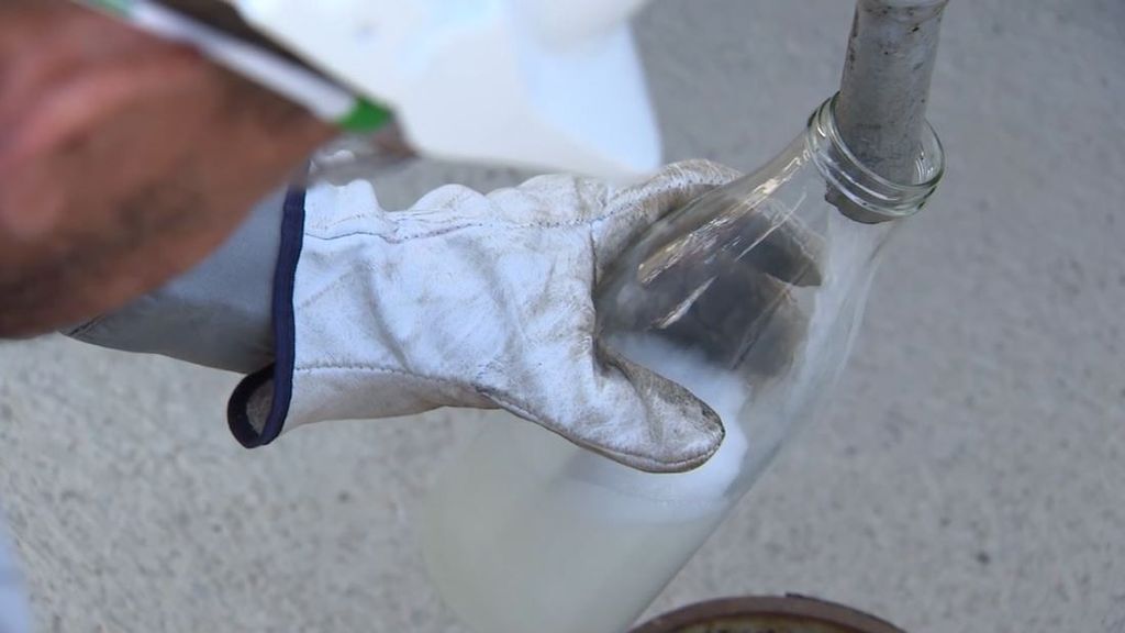 El SAF, un combustible reciclado del aceite de cocina que utilizan los aviones