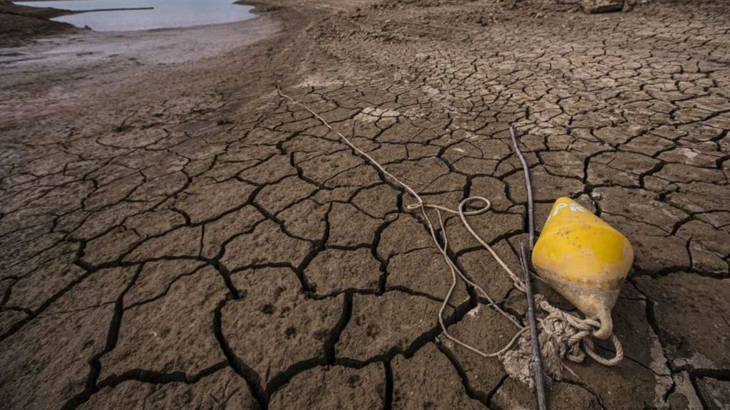 La sequía golpea a Andalucía