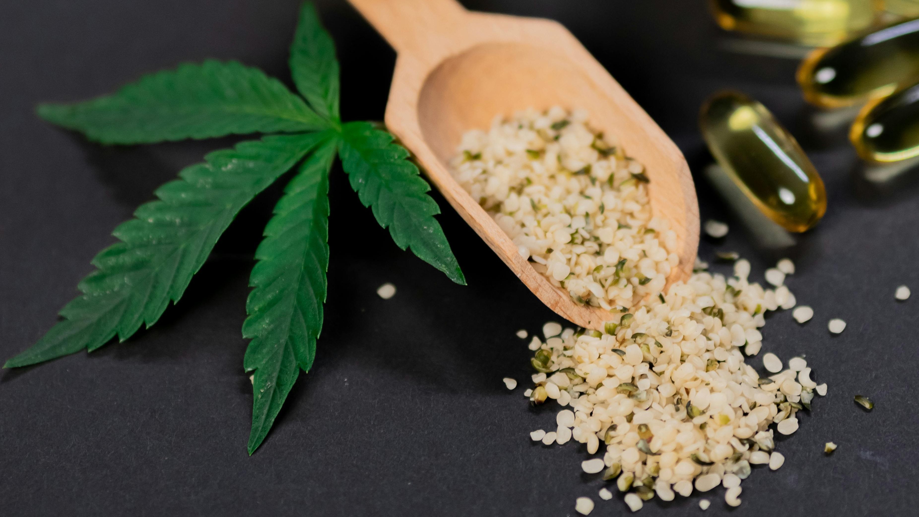 Semillas de cáñamo. FUENTE: Pexels