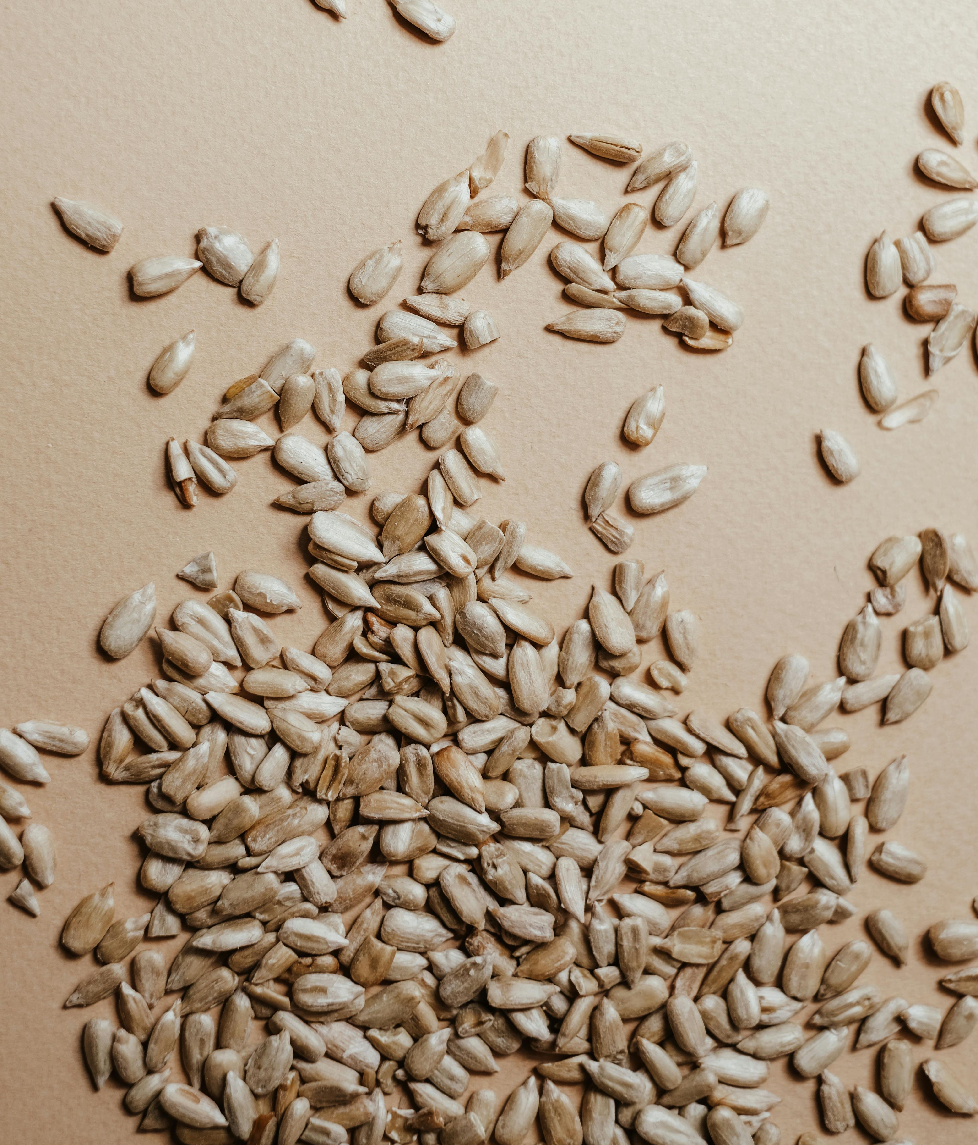 Semillas de girasol. FUENTE: Pexels