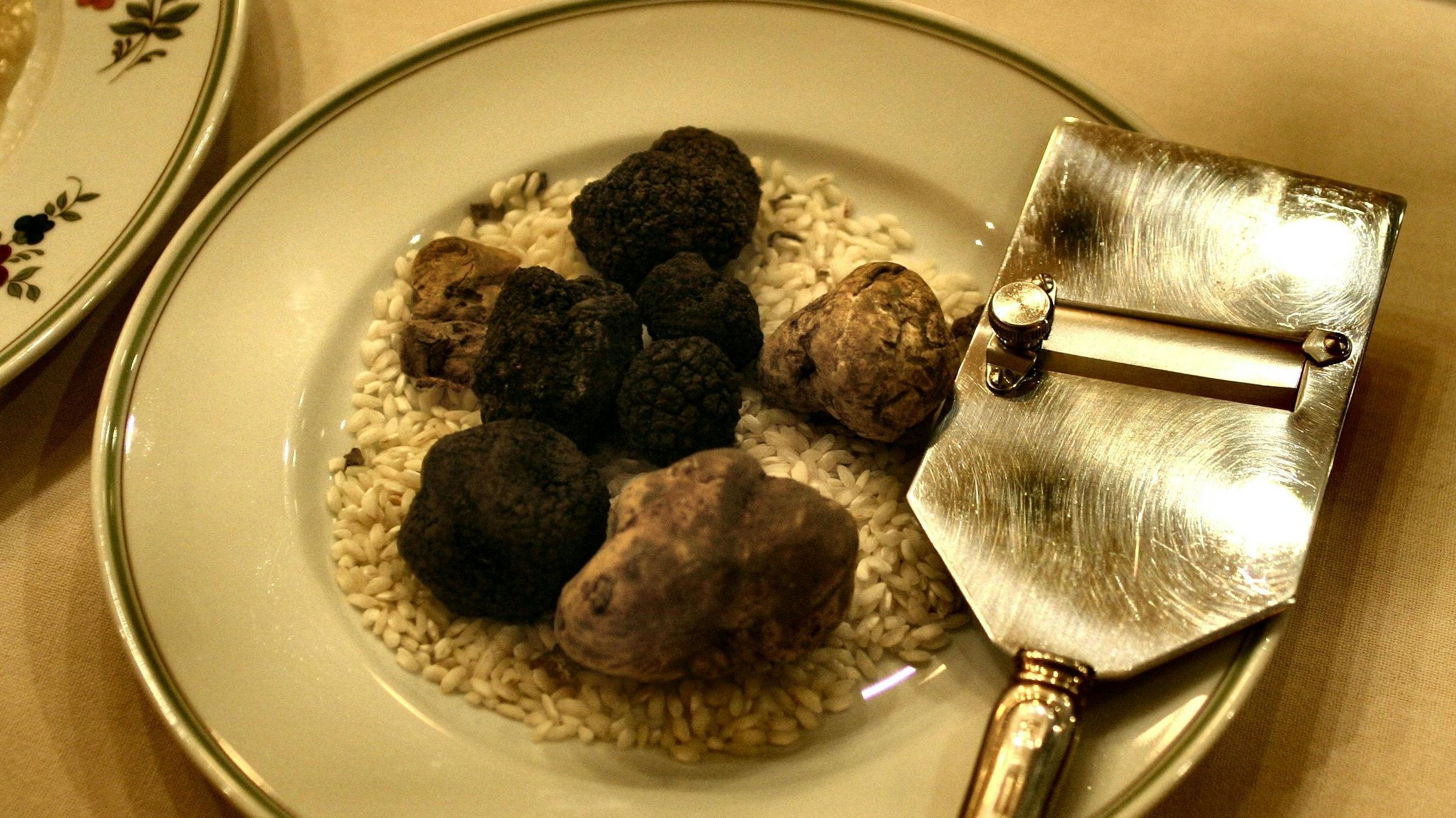 La trufa negra es una exquisitez culinaria. FUENTE: Pexels