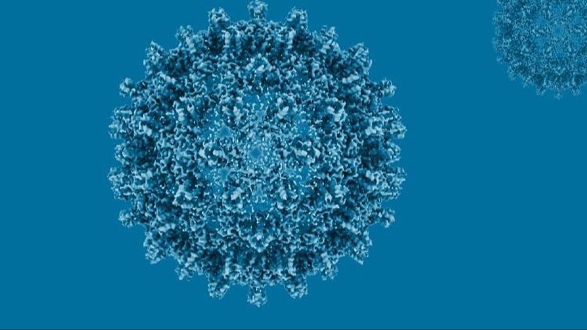 Reconstrucción estructural criomicroscópica de una cápside central del virus de la hepatitis B.