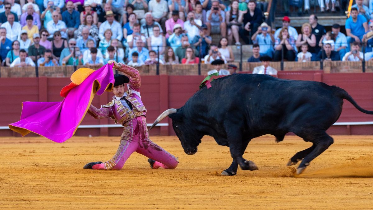 Archivo - El novillero, Sergio Domínguez 'El Mella' durante la tarde de hoy en la Maestranza, a 12 de mayo de 2024, en Sevilla, Andalucía (España).