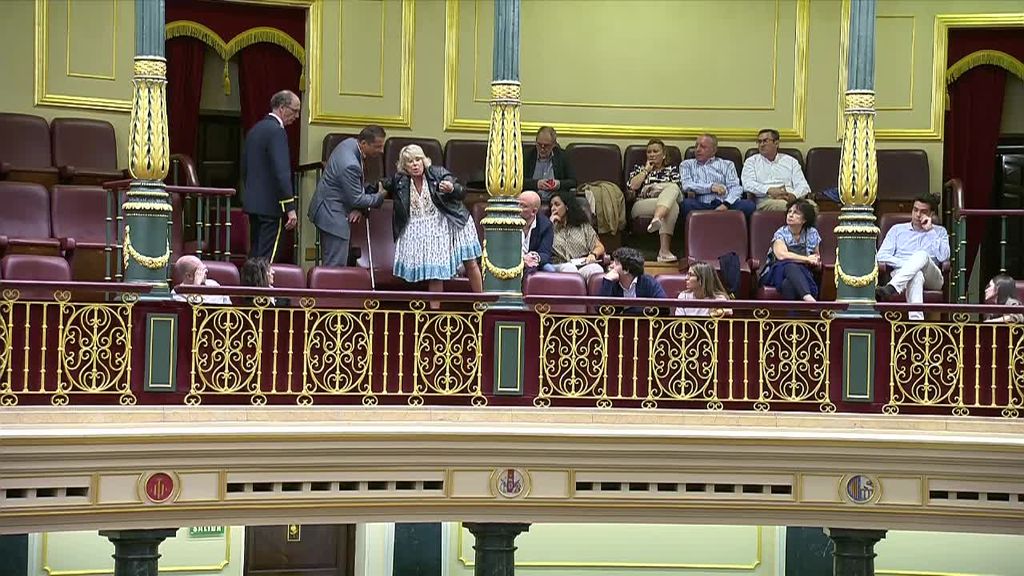 Desalojan a una mujer del Congreso que gritaba: “Nos estamos muriendo”