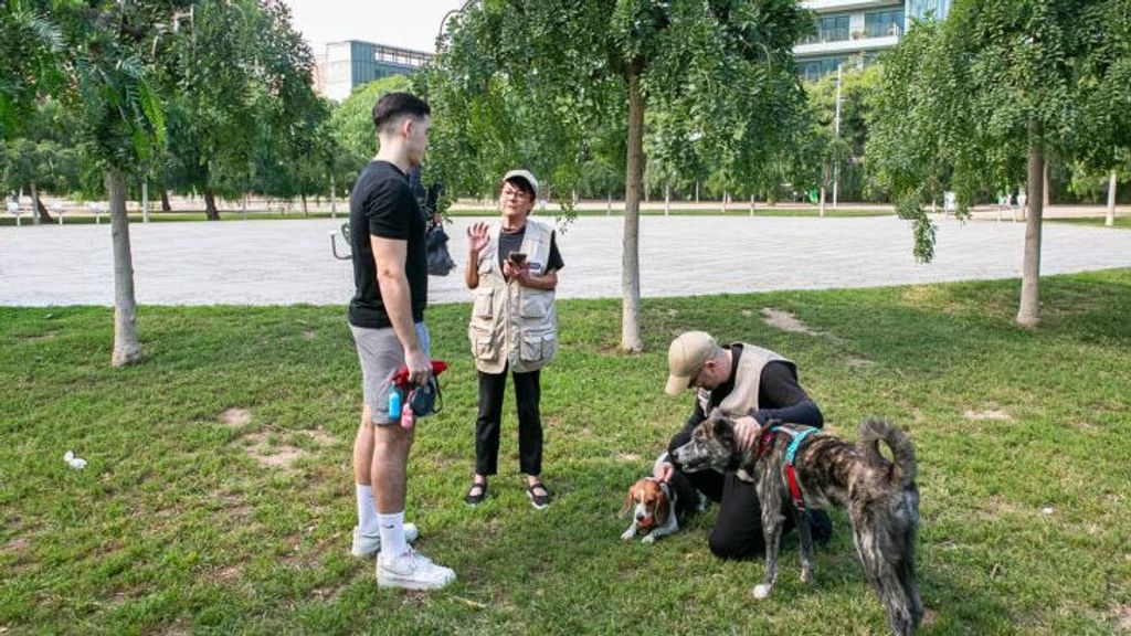 Barcelona repartirá bolsas y botellas a propietarios de perros para limpiar excrementos y orines