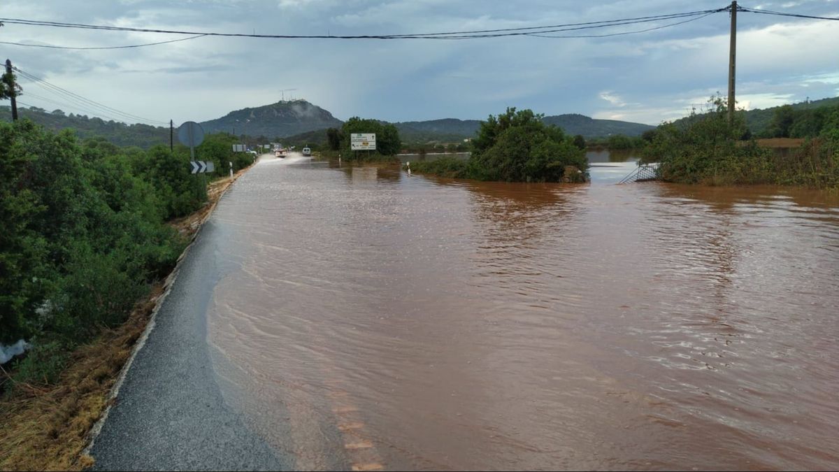 El Consejo de Ministros ha declarado como zonas afectadas gravemente por una emergencia de protección civil a territorios de 14 comunidades autónomas