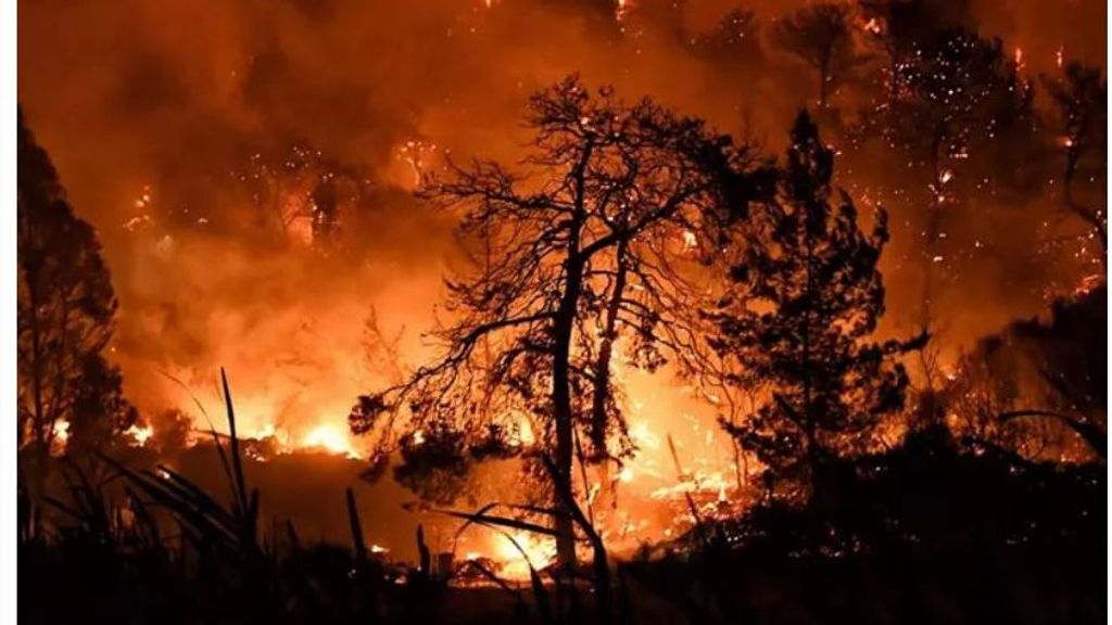 Un incendio forestal en Grecia deja dos muertos en el sur de Grecia