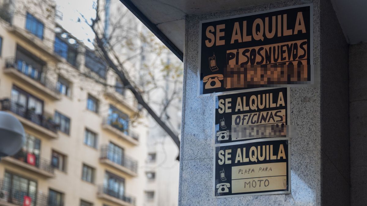 Carteles en bloque con viviendas en alquiler