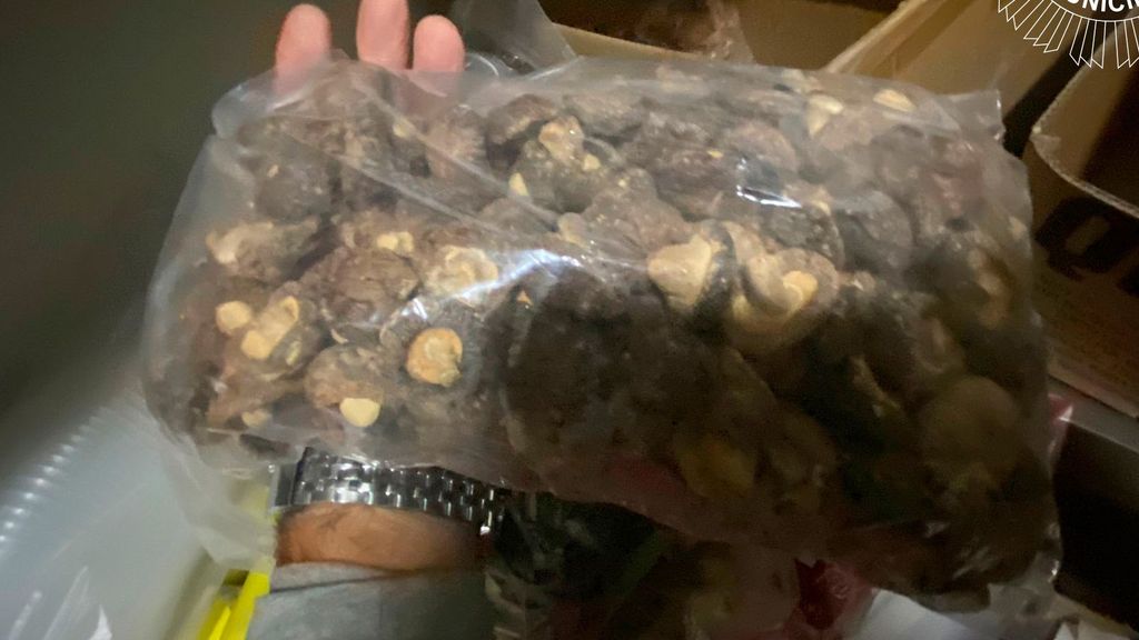 Descubren un almacén con 200 kilos de comida podrida en un restaurante chino de Usera