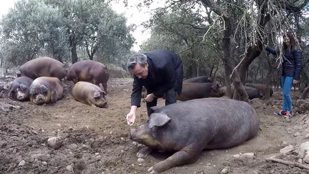 Jose Ribaborda en la granja ecologica del Cerdo de Duroc en el Valle de Ocón de La Rioja