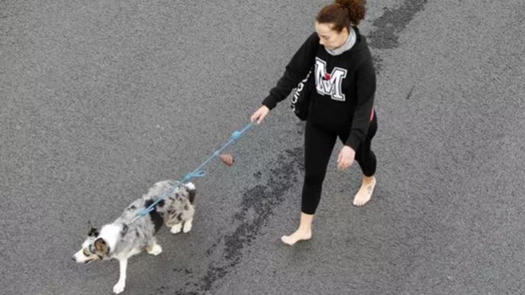 Madrid, la ciudad más 'pet friendly' según los dueños de mascotas; Barcelona, la que menos