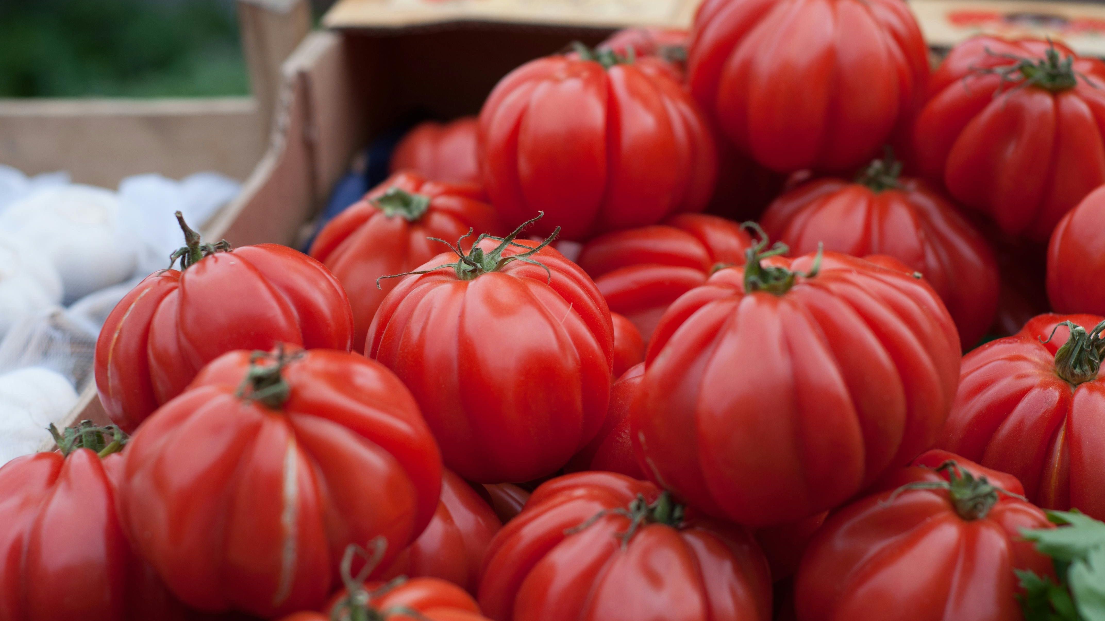 Tomates