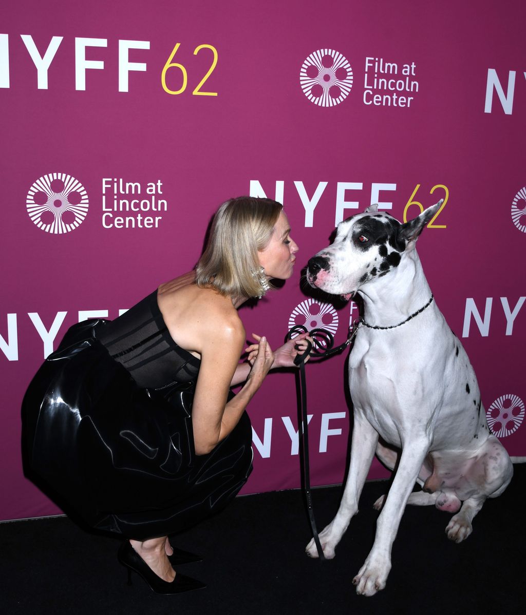 Naomi Watts protagonizando un tierno momento con el perro coprotagonista de su nueva película