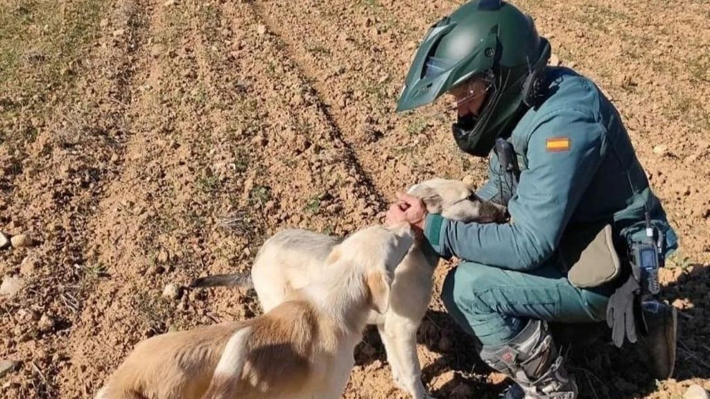 Un agente de la Guardia Civil con dos perros