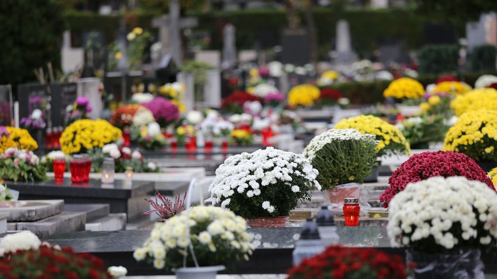 Flores sobre tumbas en un cementerio