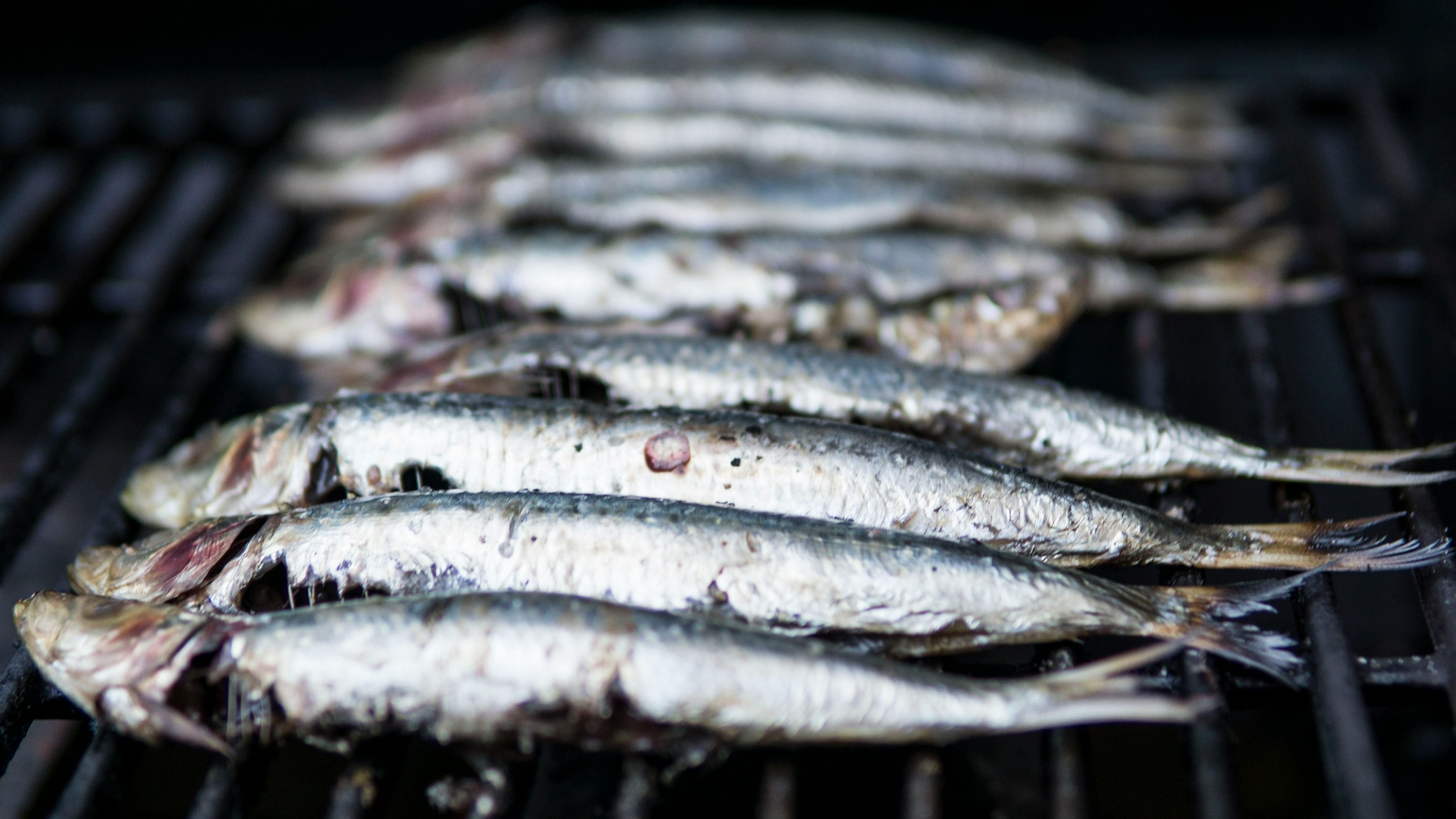 Las sardinas son muy ricas en colágeno y omega 3. FUENTE: Pexels