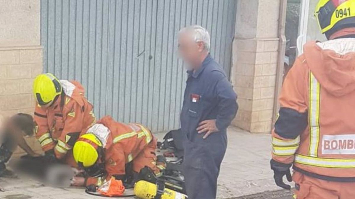 Bomberos reanimando a una mascota