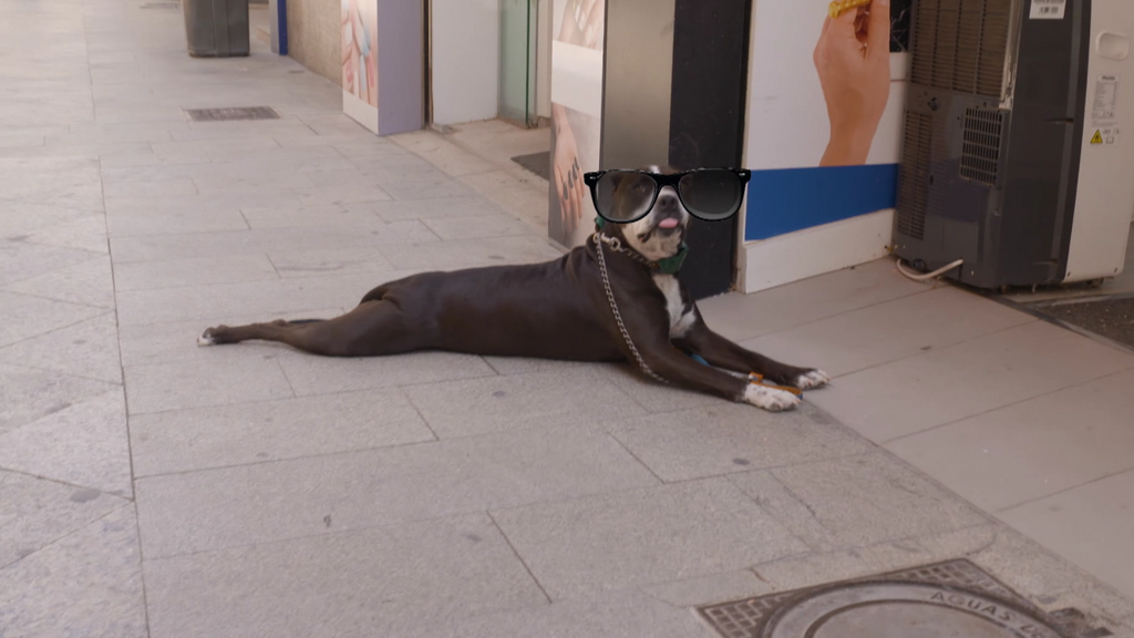 El perro que se ha encontrado Xuso Jones