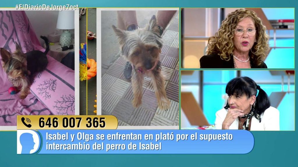 Isabel asegura que el perro que le devolvieron no es el suyo