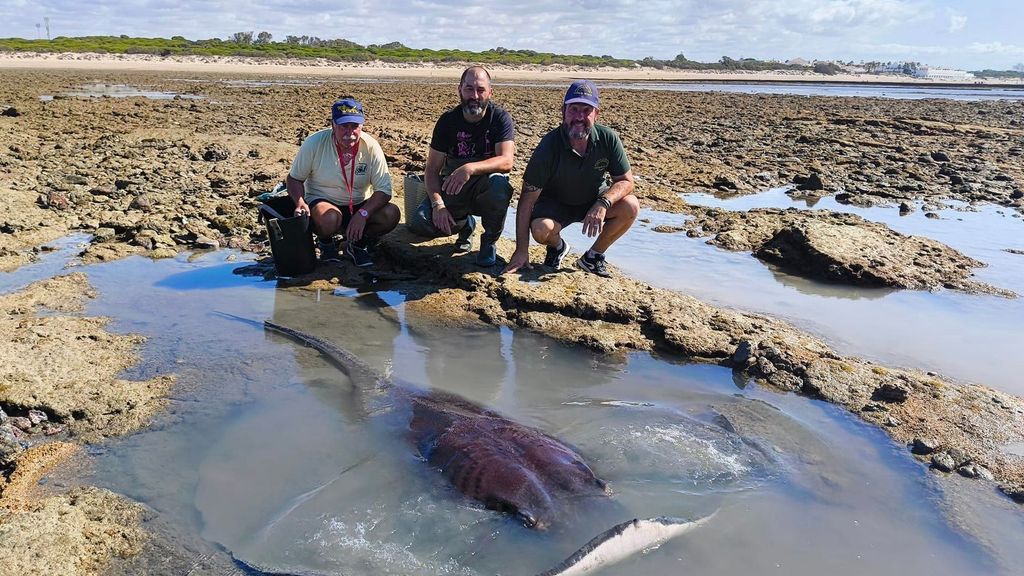 Pescadores junto al ejemplar de raya