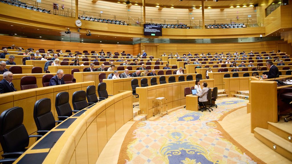 Sesión plenaria en el Senado