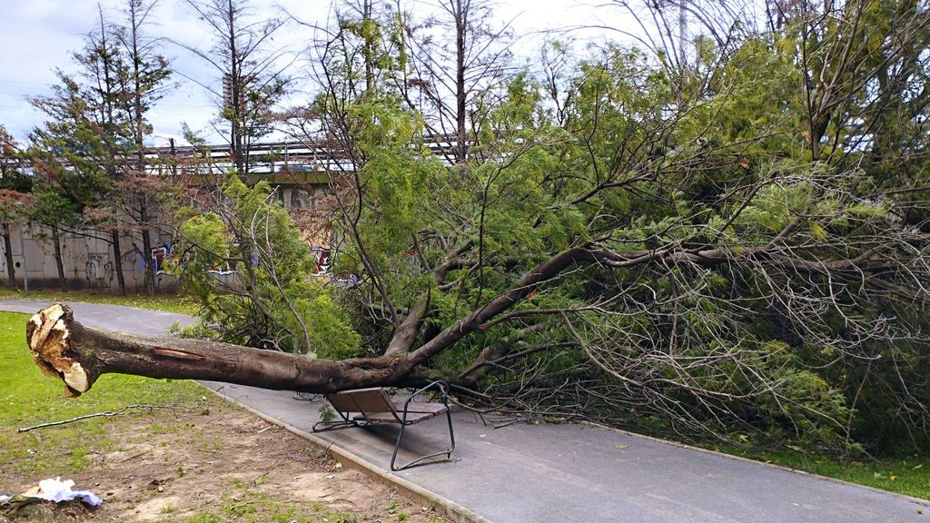 Nueve heridos, más de 100 vuelos cancelados en Bilbao, un andamio derribado en Santoña y otras incidencias por Kirk