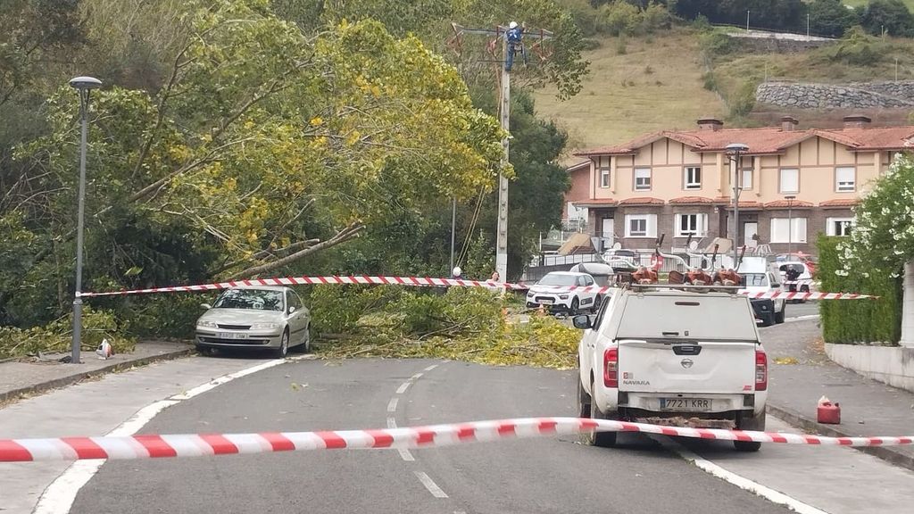 Técnicos trabajan para restablecer la luz a los vecinos del barrio de Aspe, en Artziniega, tras la caída de un árbol