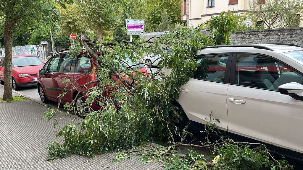 Una rama caída sobre vehículos estacionados en Orduña, donde se han registrados las rachas más fuertes