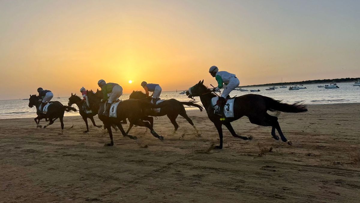 Varios caballo compitiendo en las carreras de la playa de Sanlúcar de Barrameda