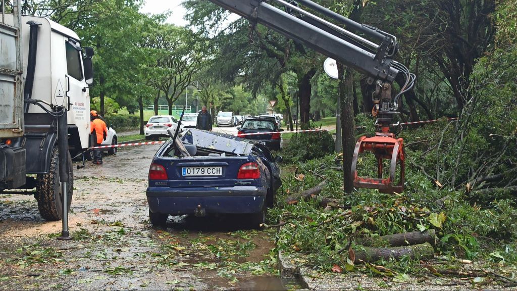 Varios coches se han visto afectados por la caída de árboles en la capital gallega