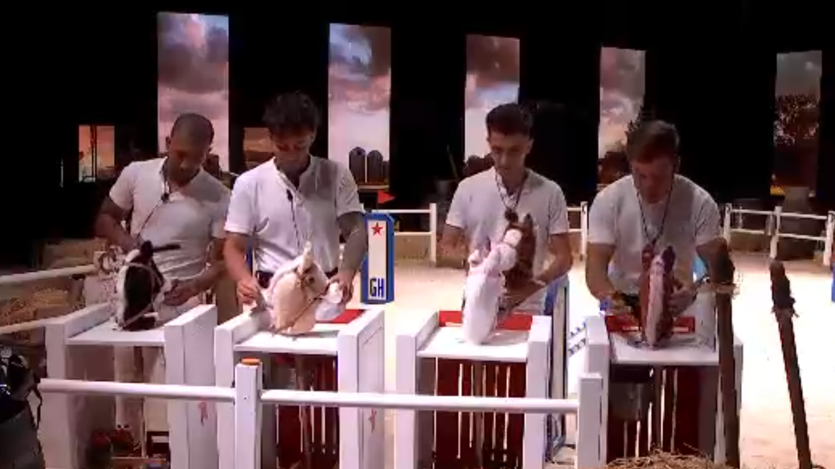 Preparando los caballos