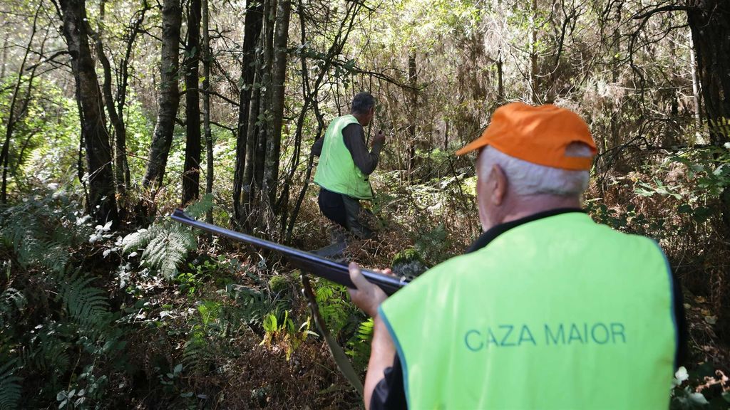 Batida de un jabalí durante la emergencia cinegética, a 29 de septiembre de 2023, en el Concello de Portomarin, Lugo