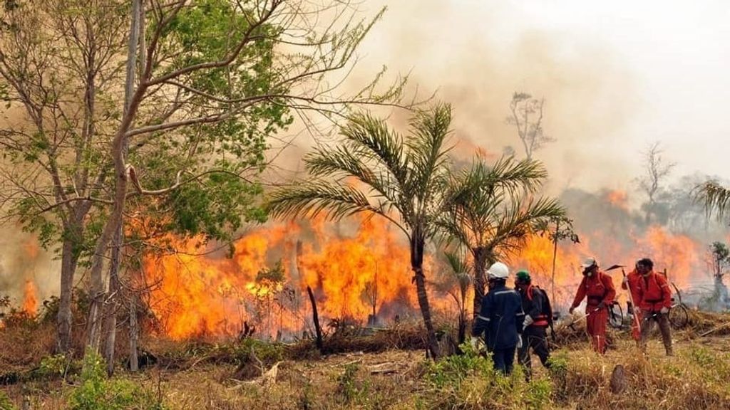 "Desastre nacional" en Bolivia: los incendios han calcinado ya diez millones de hectáreas