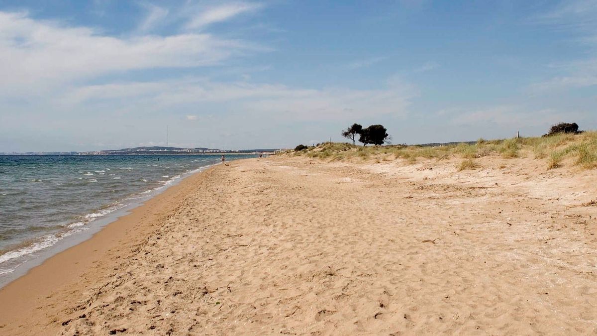 Playa de El Pinet de Elche