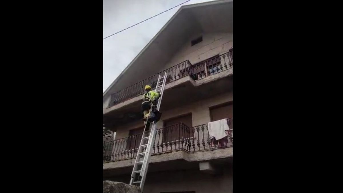 Captura del vídeo de Protección Civil de Moaña en el que intentan dejarle alimento y agua al felino