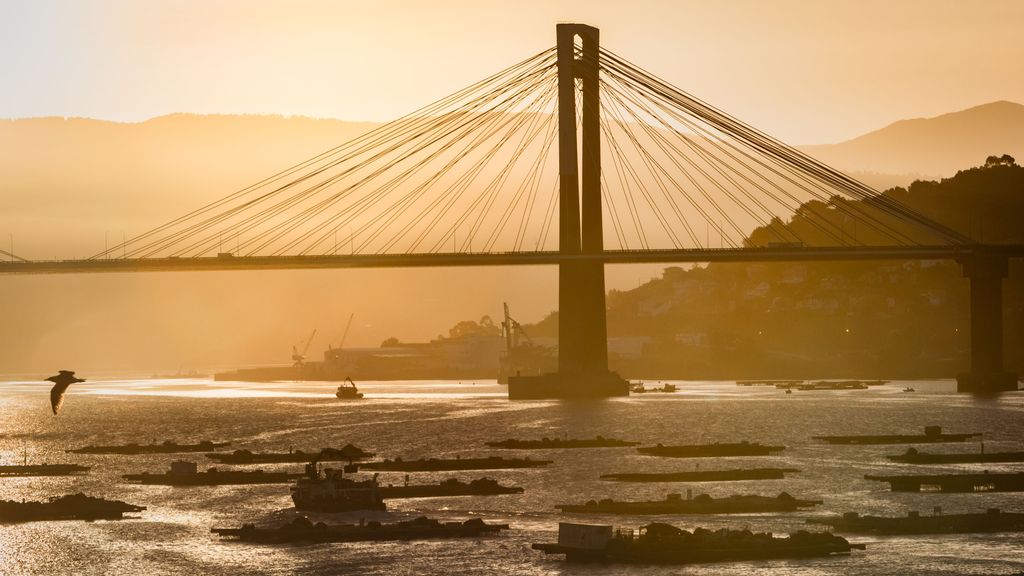 Imagen de varias bateas para mejillones en la ría de Vigo, Pontevedra