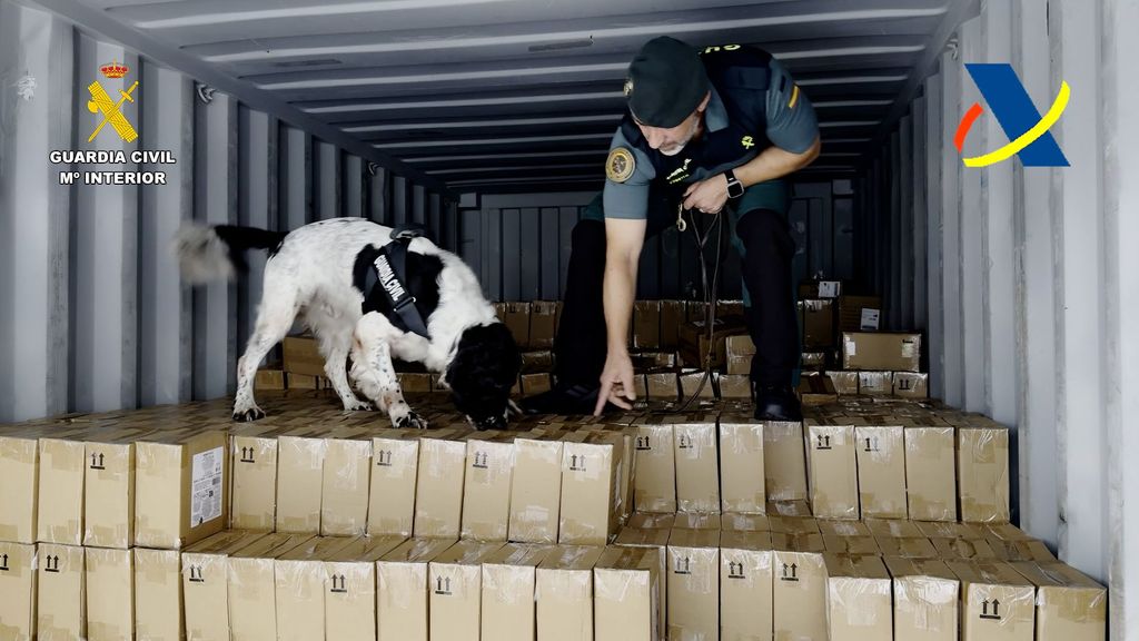 El "agudo" olfato de Neo, el perro condecorado por detectar 800 kilos de cocaína en Puerto de Barcelona