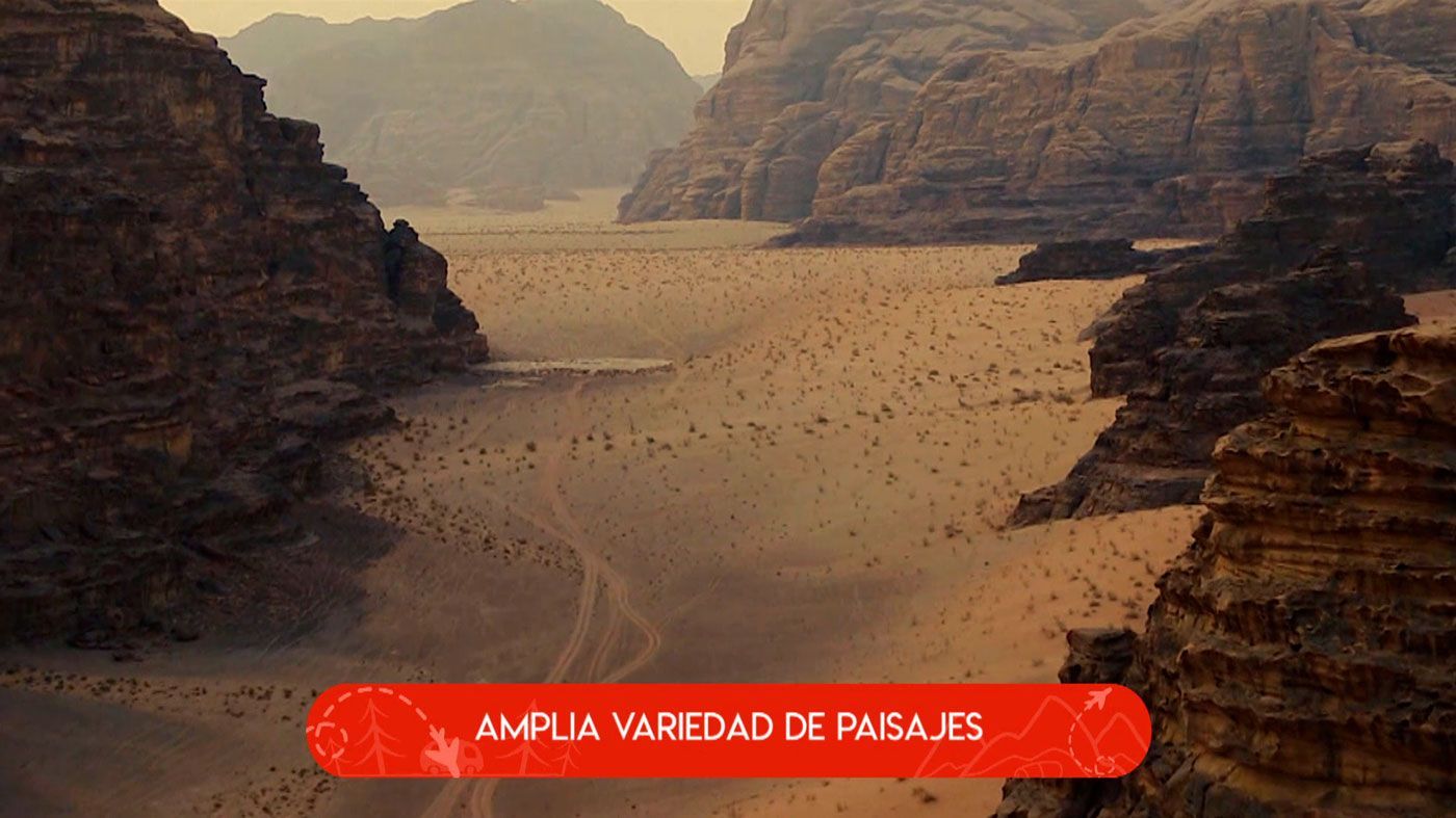 Ver Planes Cuatro Temporada 4 Programa 269 completo online