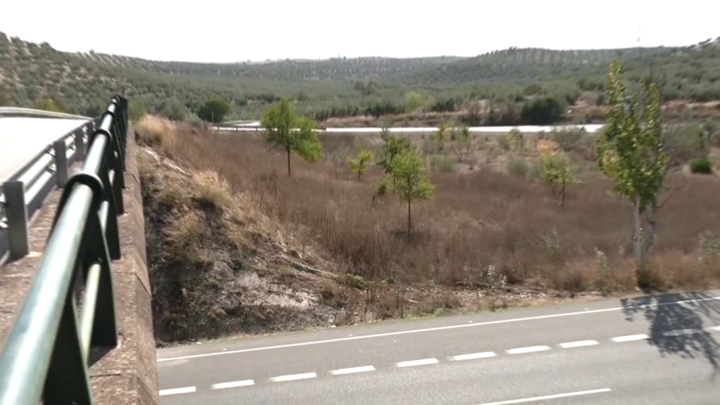 Cuatro personas han fallecido y una ha resultado herida de gravedad en un accidente de tráfico en Moraleda de Zafayona, Granada