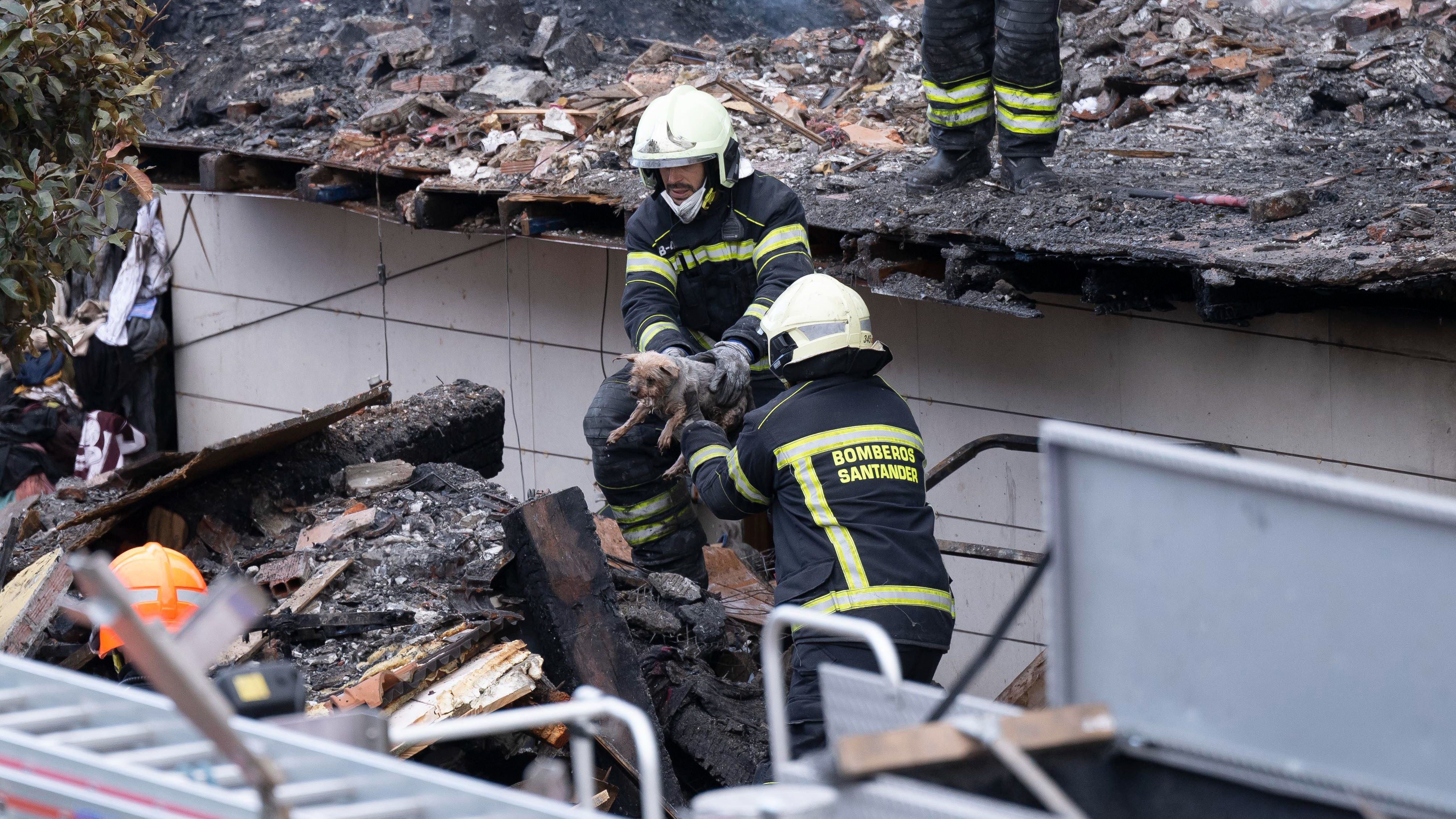 Los bomberos rescatan a un animal atrapado entre los escombros de un edificio derrumbado en Santander