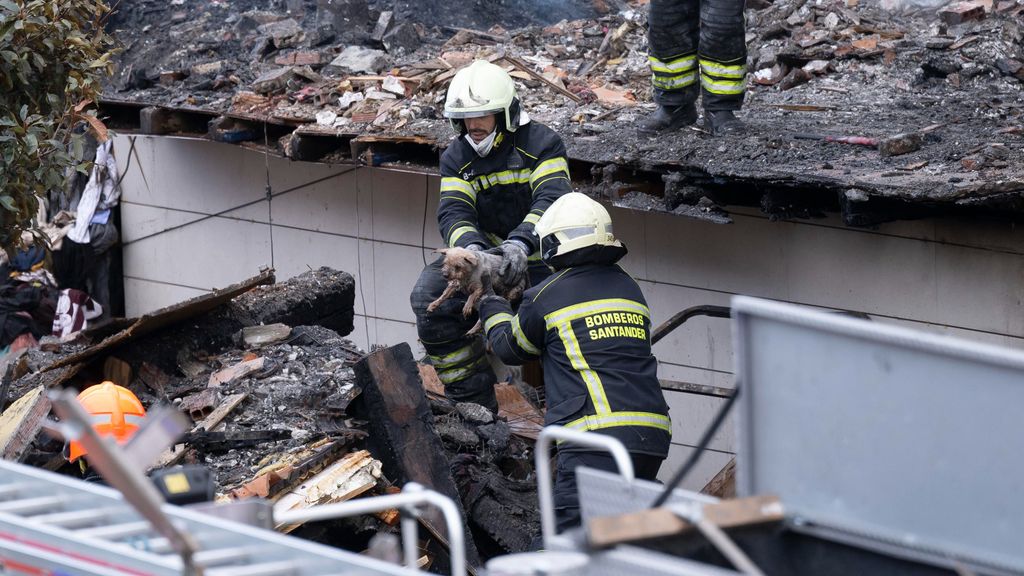 Los bomberos rescatan a un animal atrapado entre los escombros de un edificio derrumbado en Santander