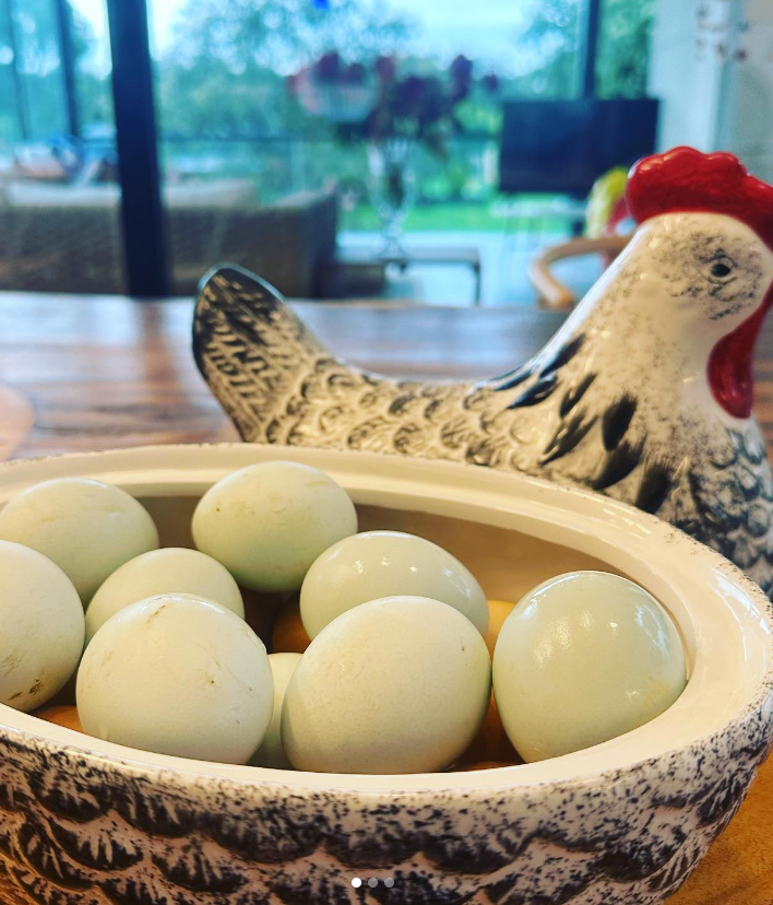 Huevos de sus propias gallinas. FUENTE: Instagram @rominabelluscio11
