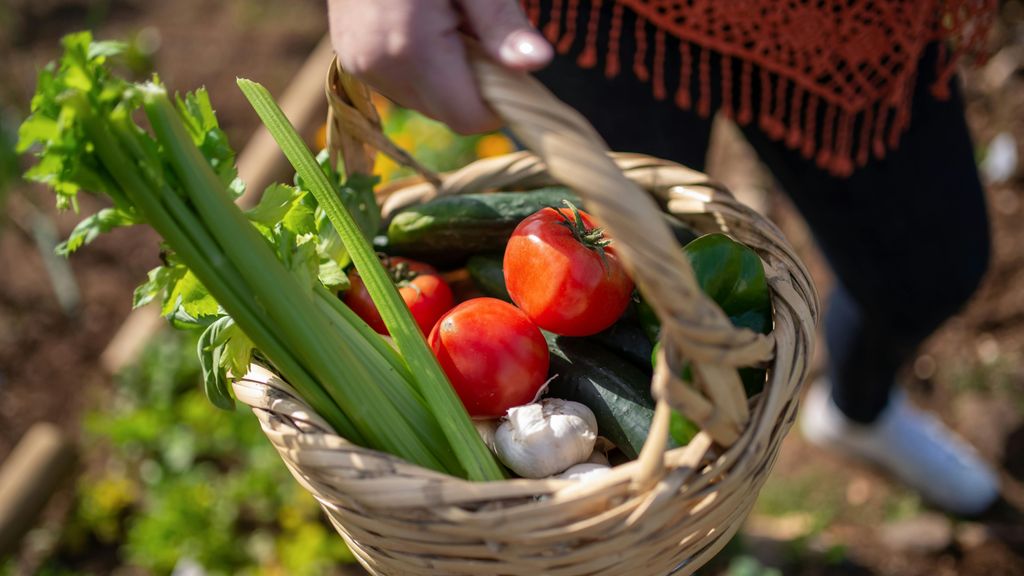 Cesta de la compra ecológica