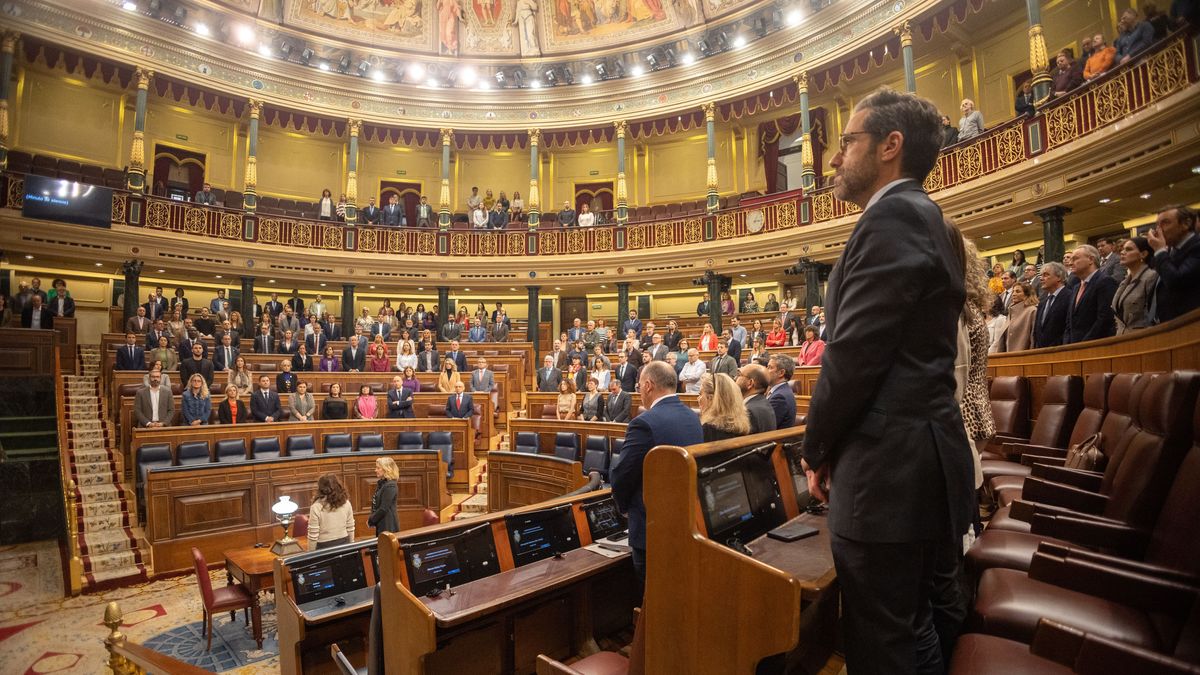 Hemiciclo durante un pleno en el Congreso de los Diputados, a 29 de octubre de 2024